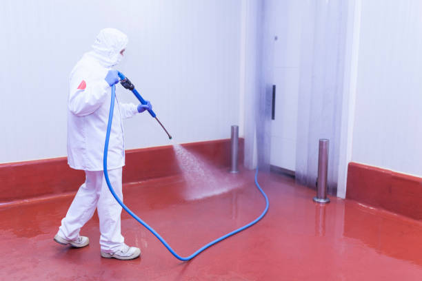 Best Driveway Pressure Washing  in Ironton, OH