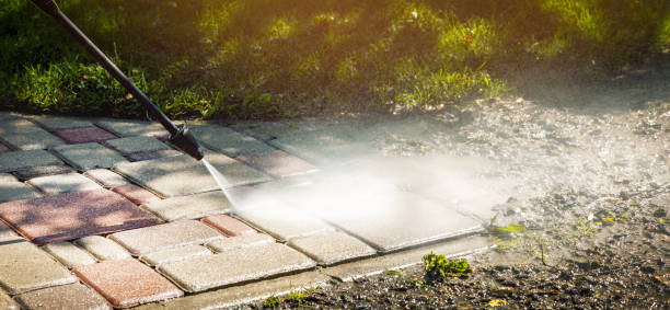Best Animal Enclosure Cleaning  in Ironton, OH